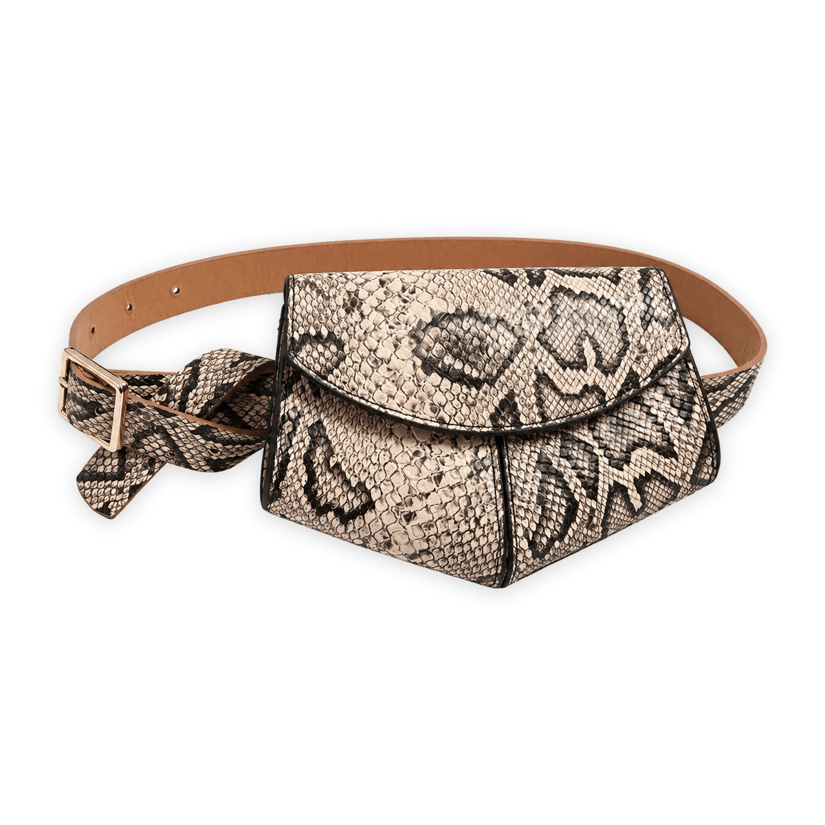 Roubaix — Serpent brun — produit sur fond blanc