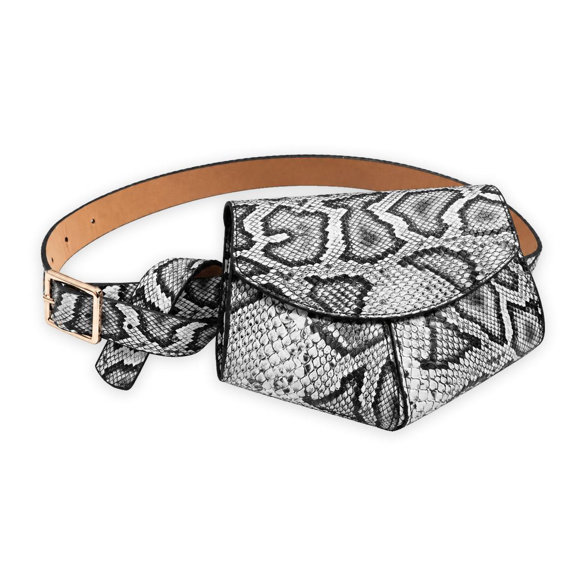 Roubaix — Serpent gris — produit sur fond blanc